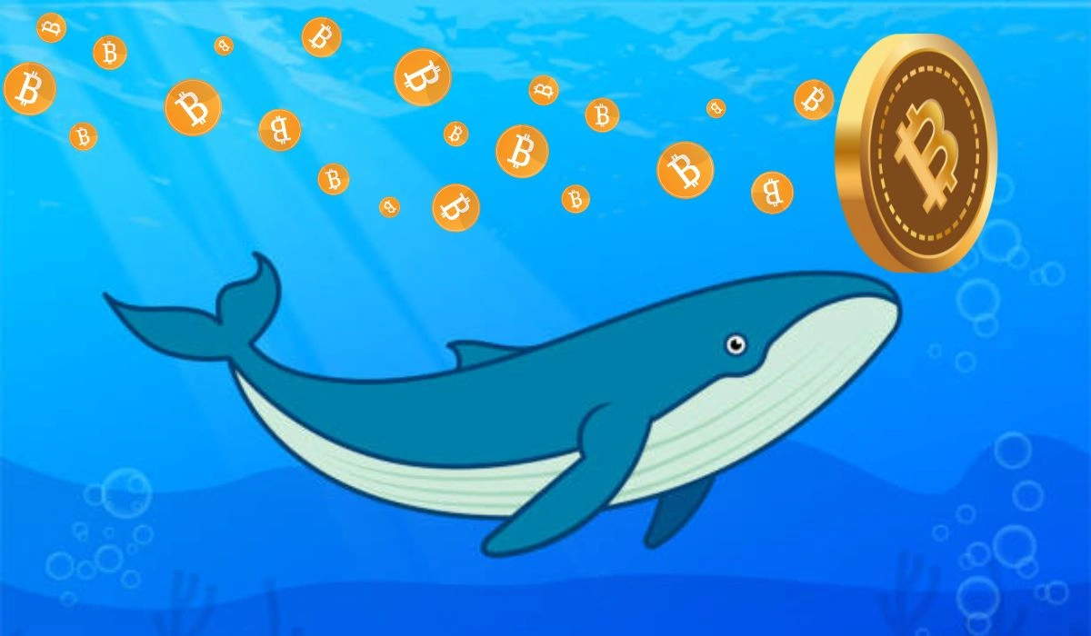 Crypto Whales