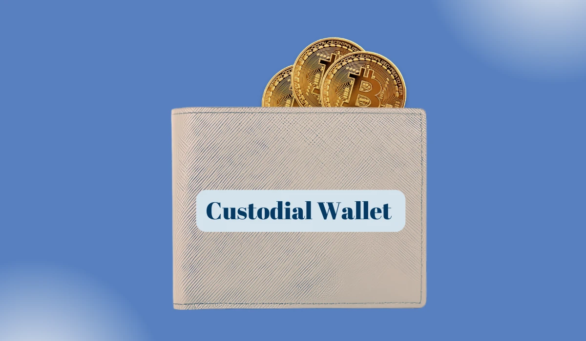 Custodial Wallets