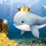 Impact Of Crypto Whales In The Market