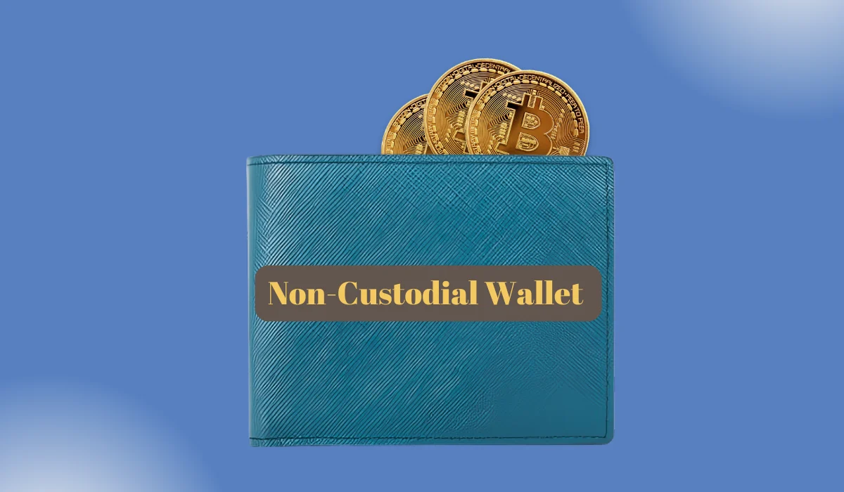 Non-Custodial Wallets