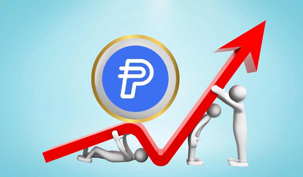 PayPal USD Market Overview