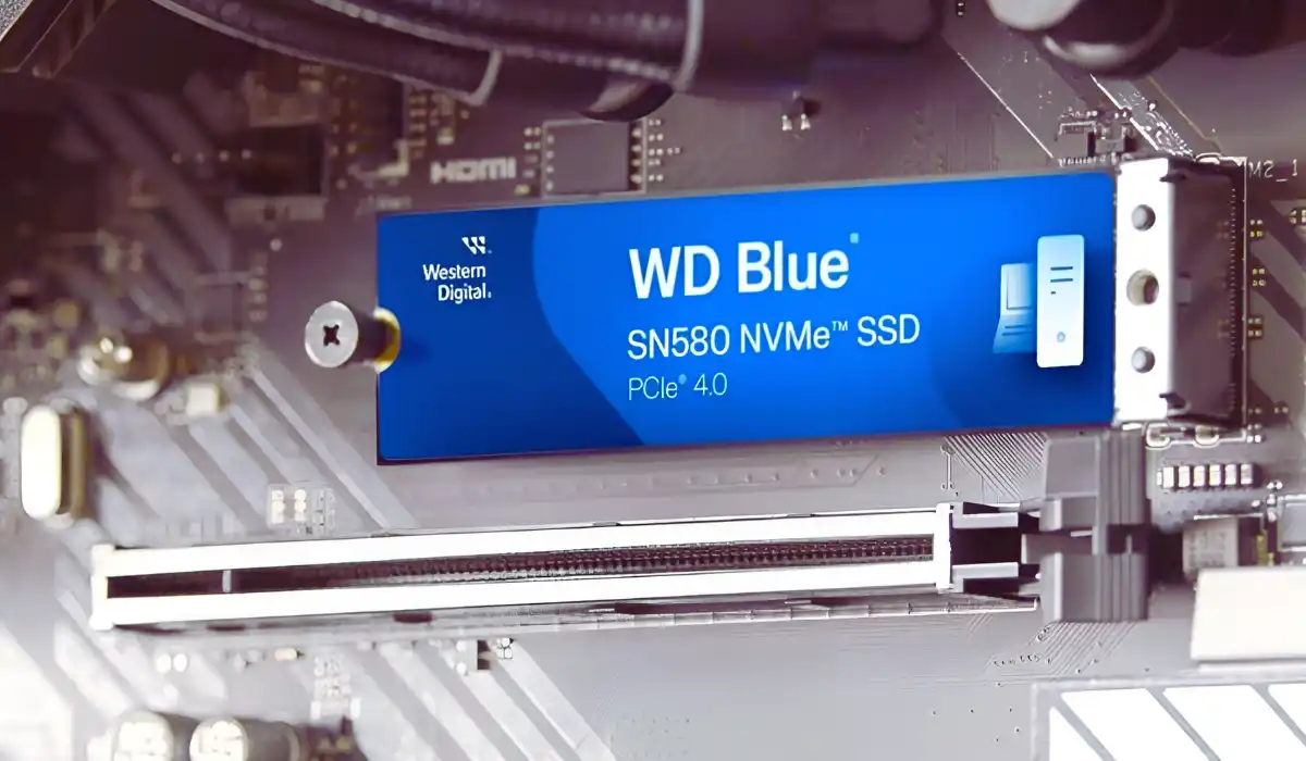 Windows 11 BSOD Issues on SSDs