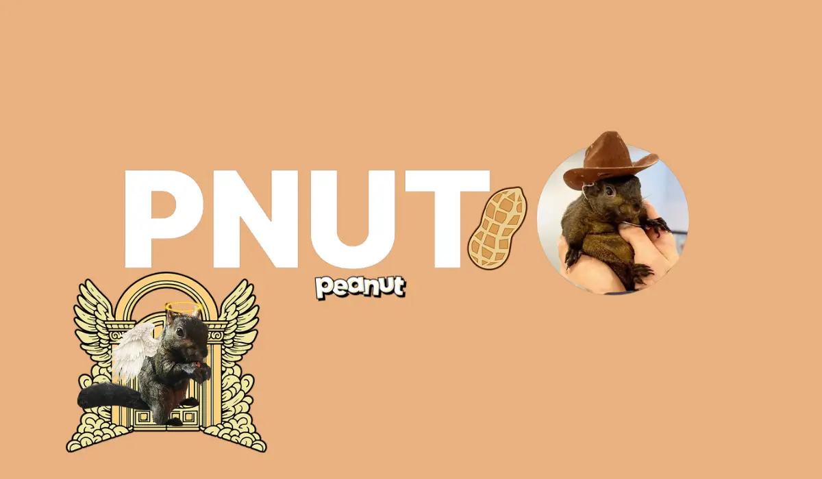 Peanut the Squirrel (PNUT)